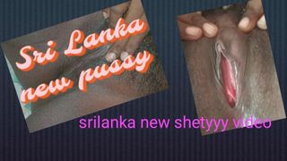 Sri Lankan Shetyyy Black Chubby Pussy Was Voyeur Monkey Japan